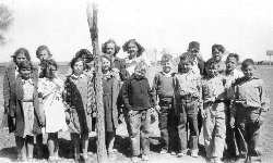 Sophia's school class