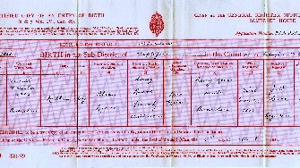 Nathan Reeves birth certificate